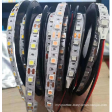 24V Led Strip SMD 5050 LED Tape White /Warm/RGB/Red/Green/Blue Light Flexible No Waterproof for Decoration Line 100 Pack